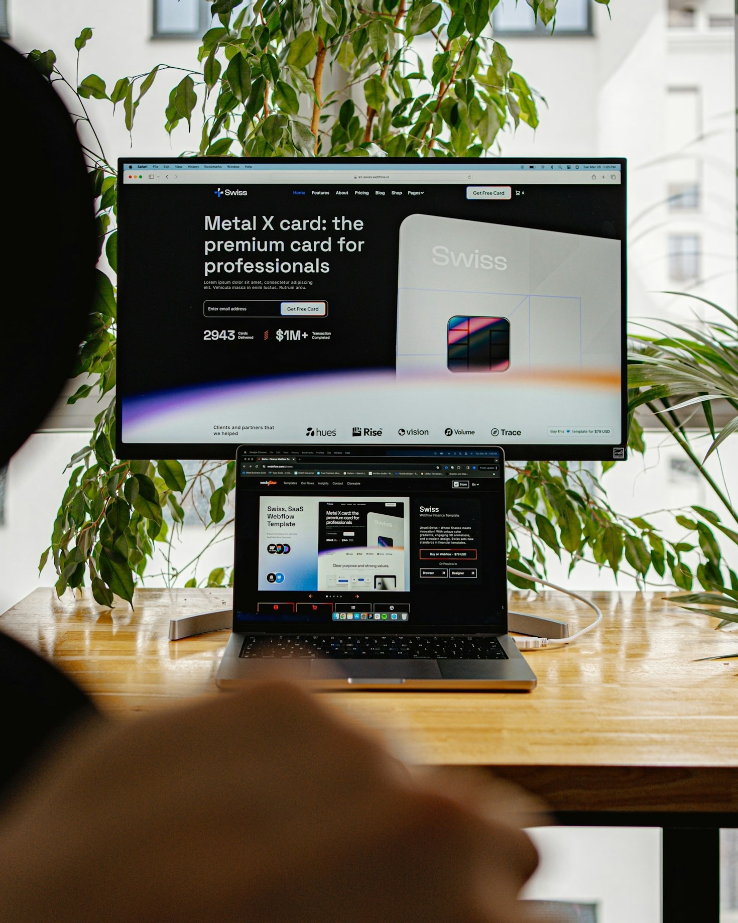 Curated Software Picks For Creative Professionals
